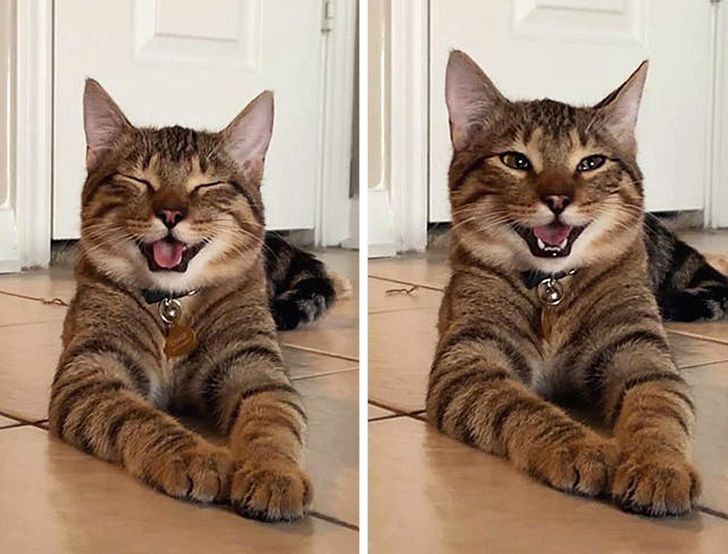 e3011a502d94cae4bcd825f93f