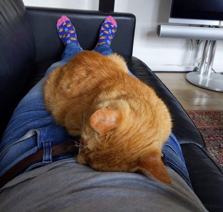 e301645d6aaa01e2eeac032782