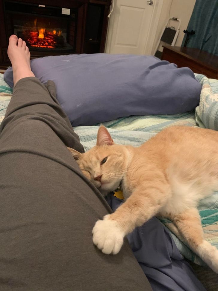 e30d3d516a9e1f2146a70f70a2