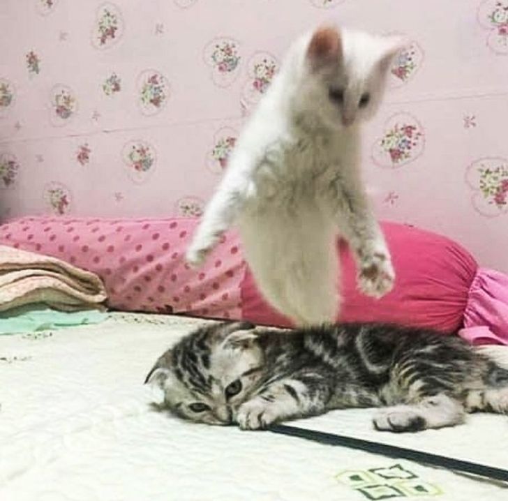 e30d635f7fb43d80a3c776462b