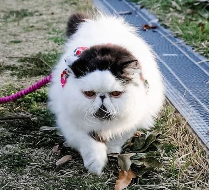 e30e56520aa8952bd860a0e408