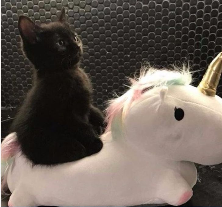 e30e765e8b9061095a7034846e