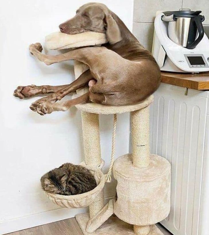 e321225f39be07ec1a3762199a