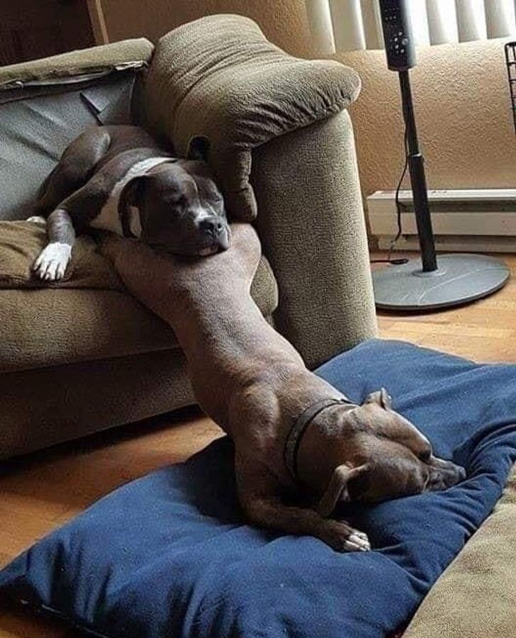 e32808579790e7921e37bb1d16