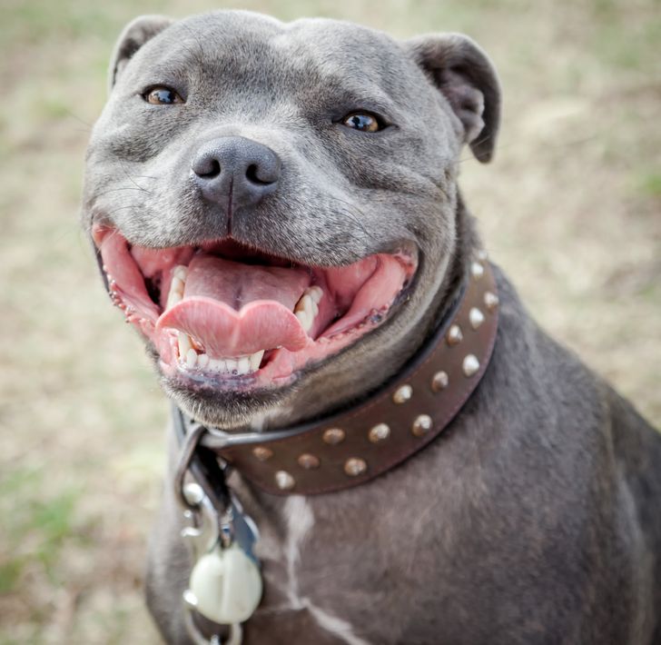 e32909513b9fcc7430bd9e3690