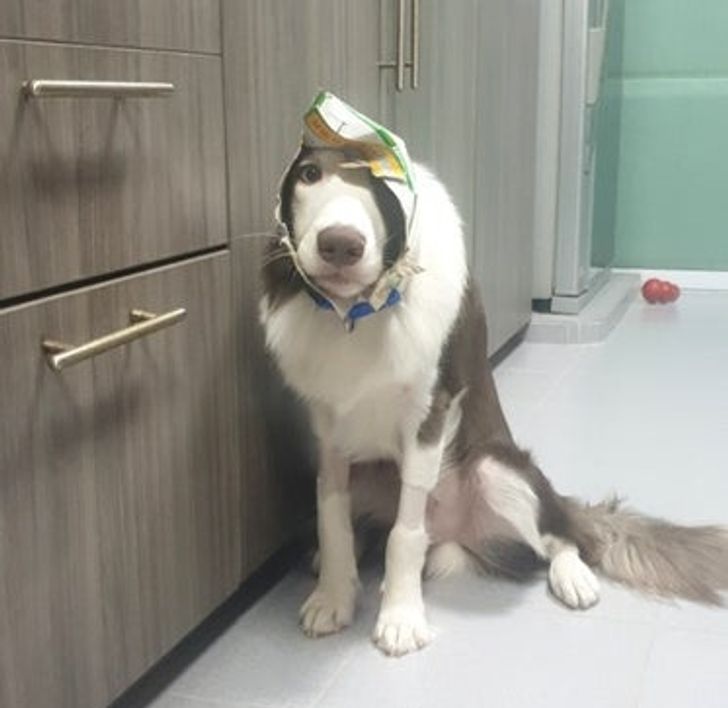 e32b9c51ecbdb280a353a25ef0