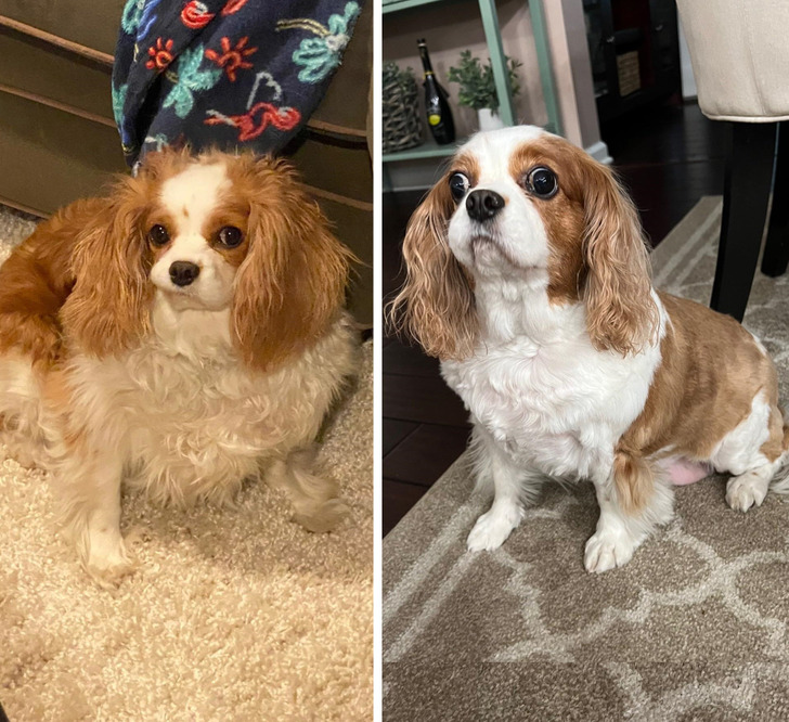 e32bd55f5e9f1fa9421e571069