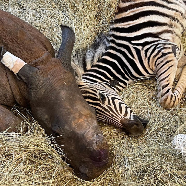 e34aca517283c9921325872115