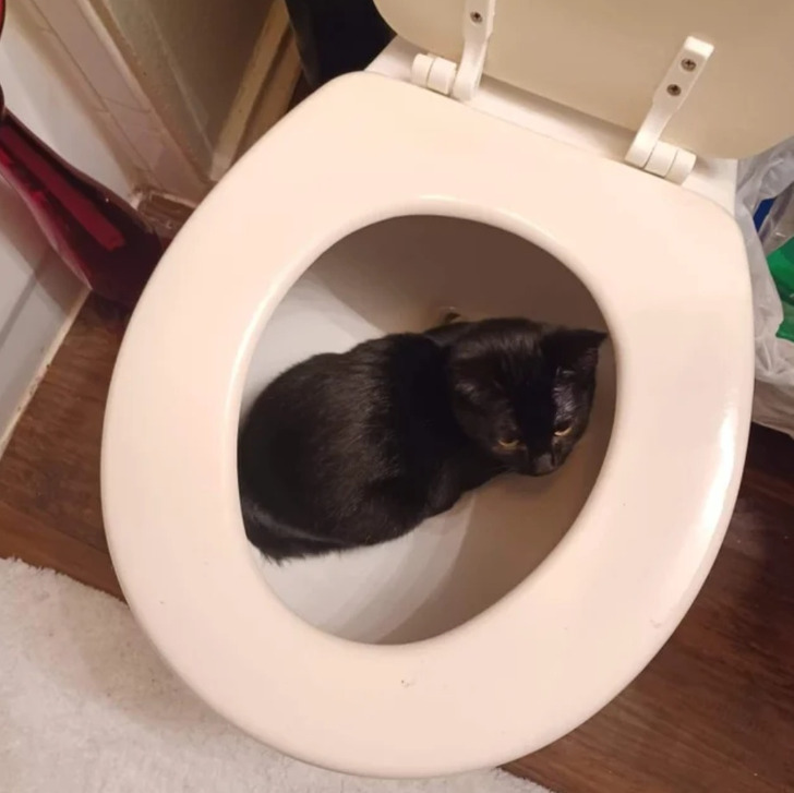 e3522b59c086b9cd9436b8e94c