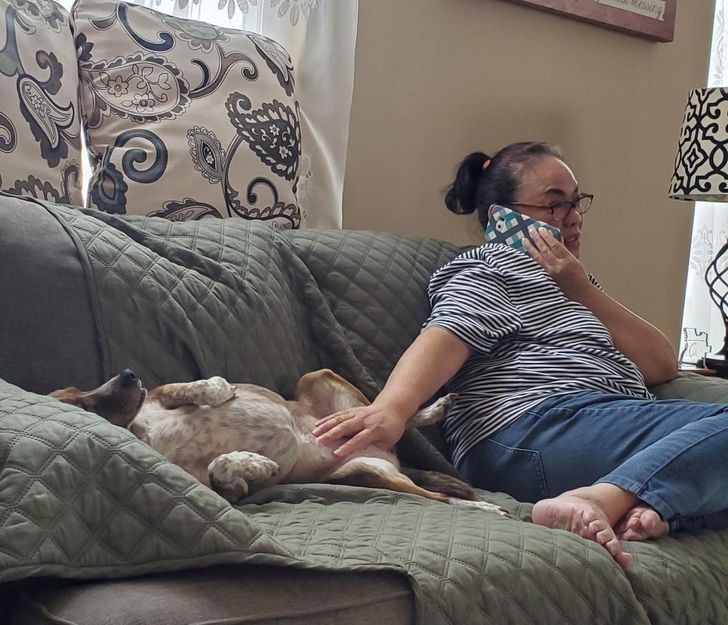 e3598f5e6c81ef7ecce3db84c1