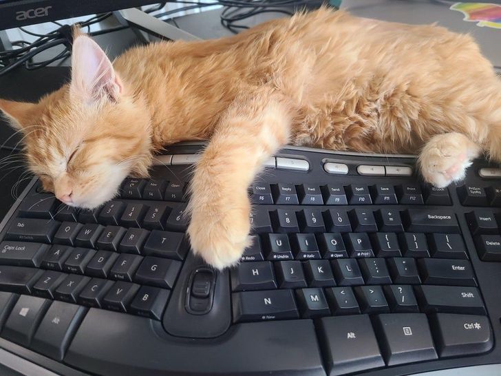 e35b6753d3be308771fdde5d07