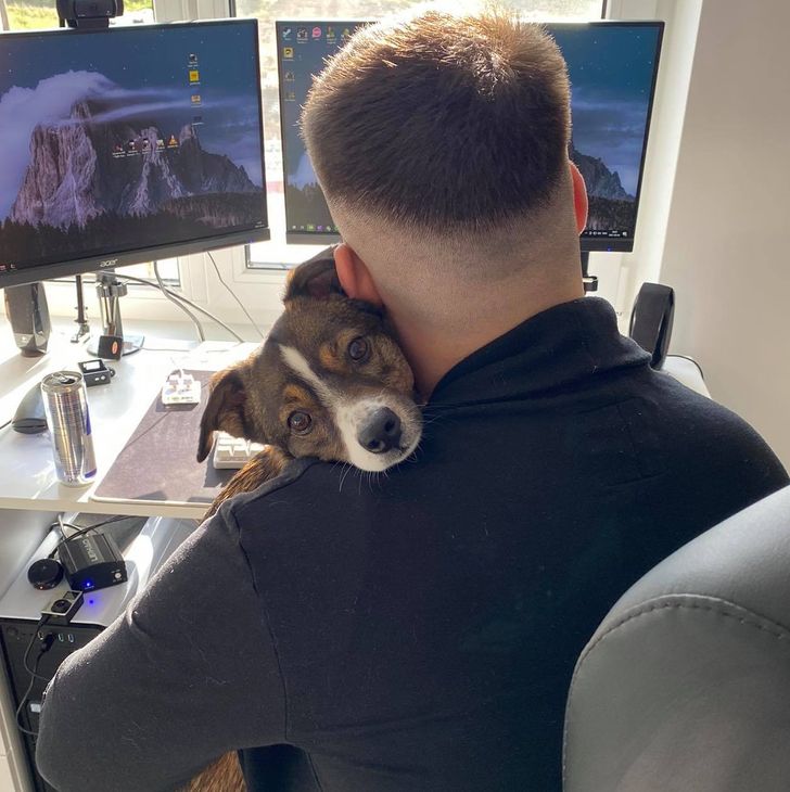 e35e1c571a8961eede49eadc38