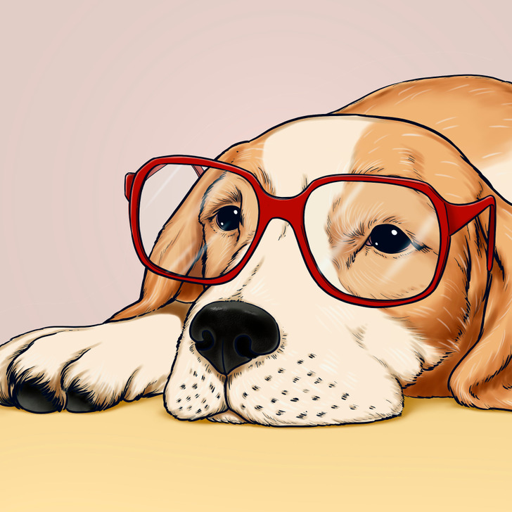 e35fc75dfca3bb1d7a75735f54 e35fc75dfca3bb1d7a75735f54