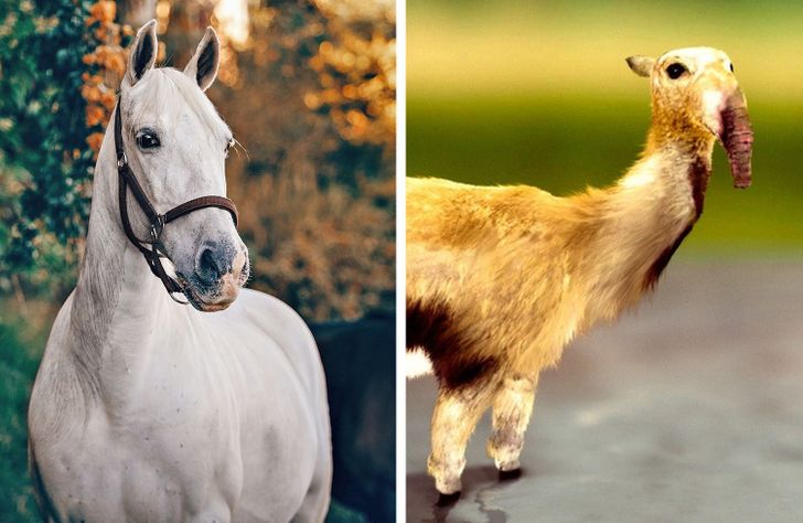 e35fdb5c49bcc21a7fbc5c50f5