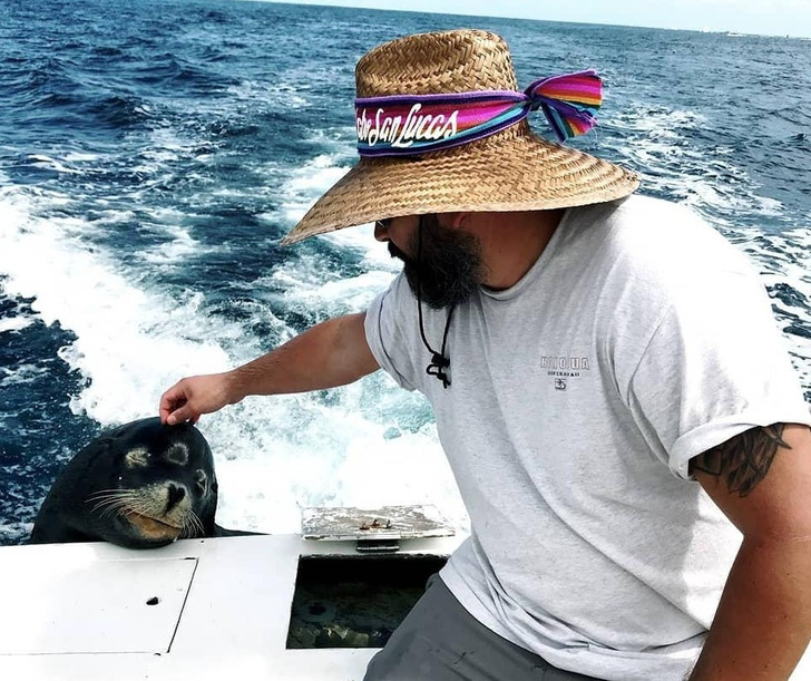 e363c65f4eb179a9ddc5c68dcf