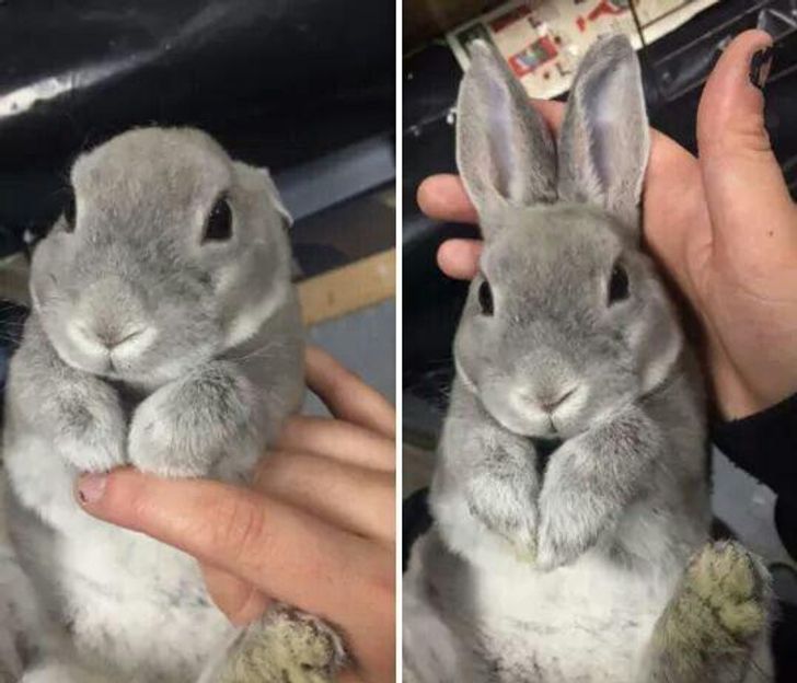 e367a852b18e72a895b1458466