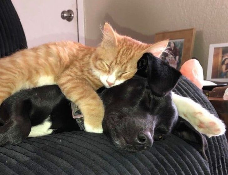 e36a3e5650bd67767c15372724