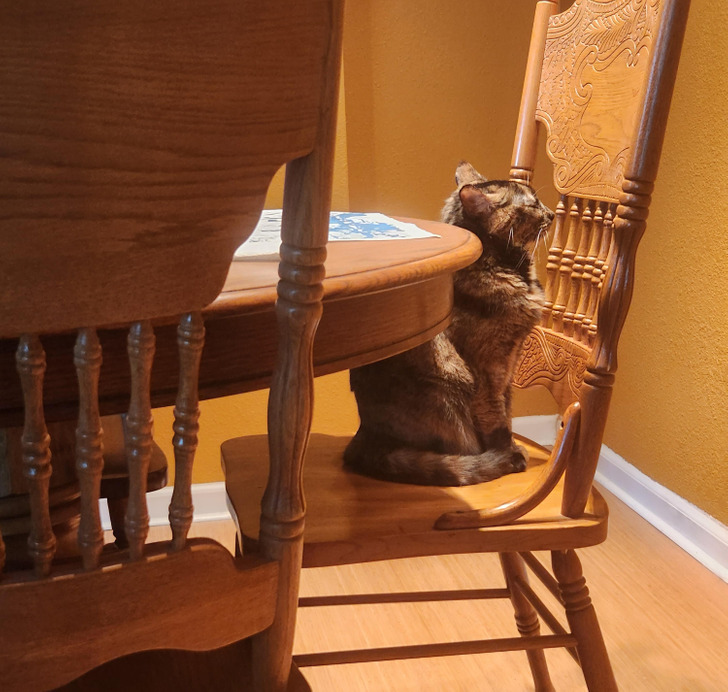 e3724d54f3b952bda147b1241d