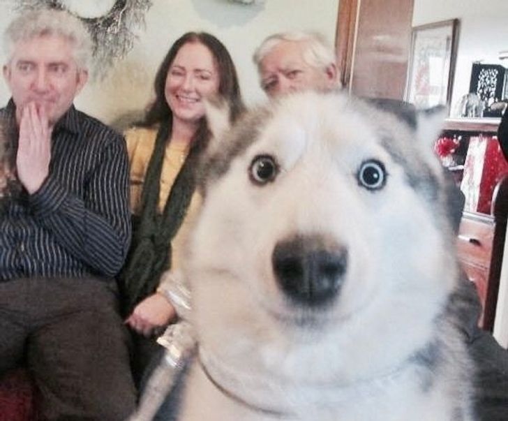 e37ba654a5919e24429206fb35