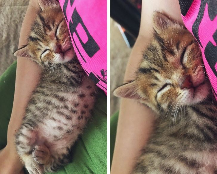 e382f05325800ec7df2f0ad93a