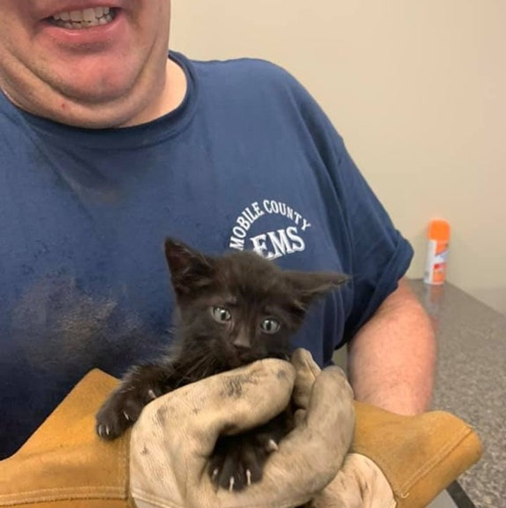 e386335cd594afb8cc8b14d375 e386335cd594afb8cc8b14d375