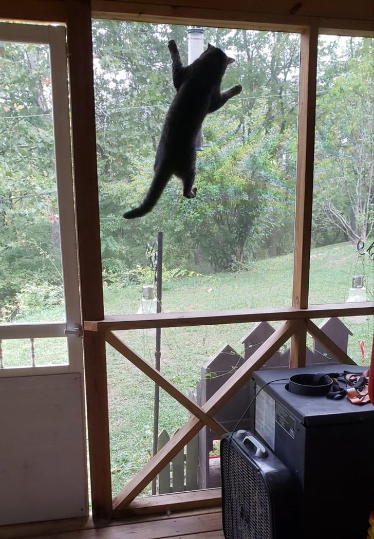 e3875f5a92ae2dcf1e032ac7b6