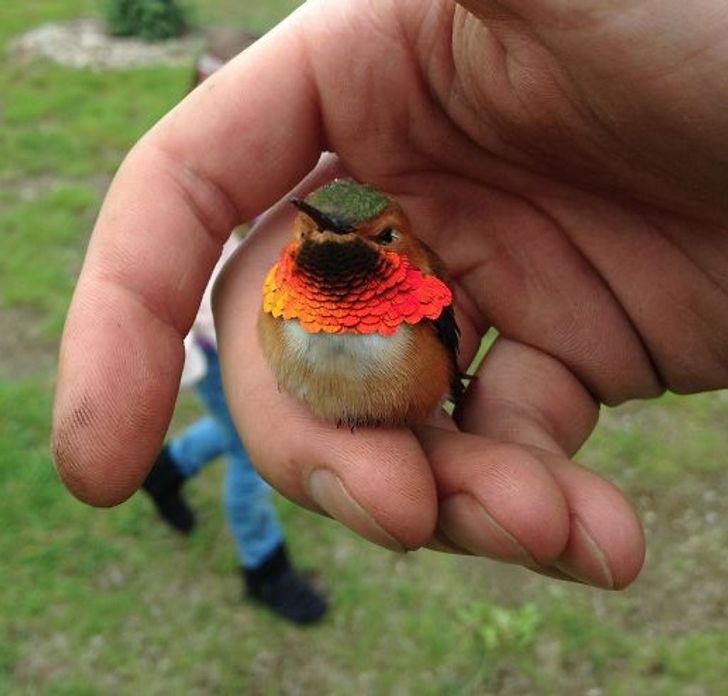 e3961255778daeca2ca438eaee