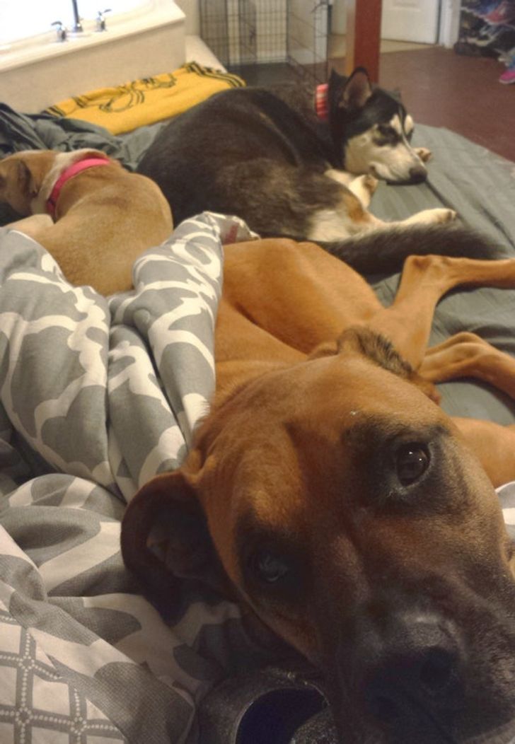 e399ed5585bde748fb6b69487f