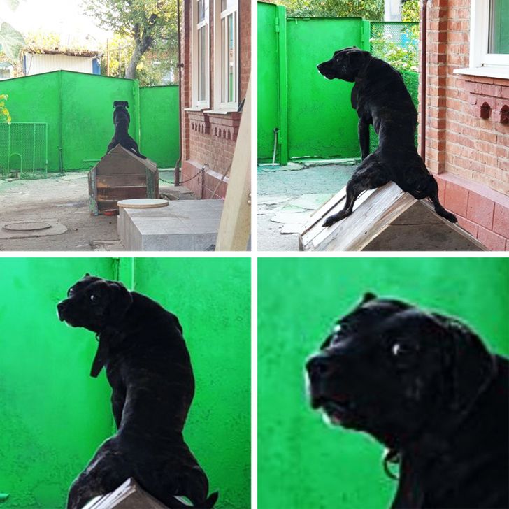 e39a295b5e81deb1d33ca29b80