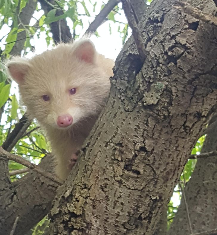 e3a2055efbb7c716a22ed21169