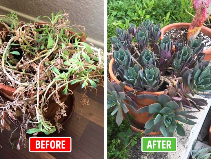 e3a2cf591a9350c3bd97e99ef6