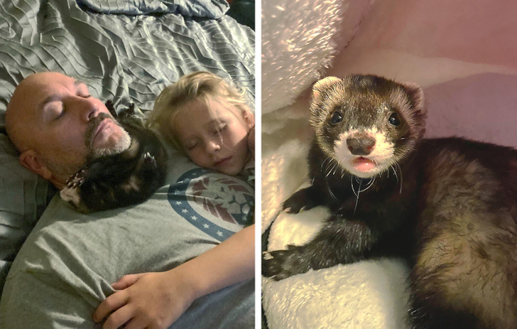 e3a2db58f0aeae0c8716ece4e3 e3a2db58f0aeae0c8716ece4e3