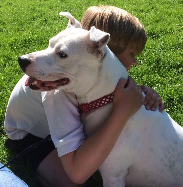 e3a2f255b4ac00cd939f9591c8