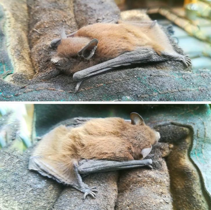 e3a40559498cc7cf519a0f39d4