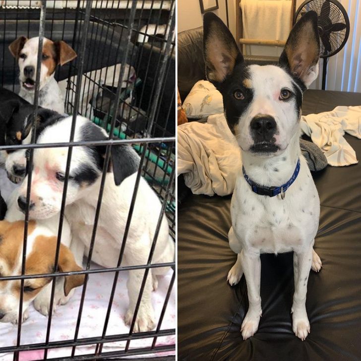 e3ab765f699121796fb1ee7371