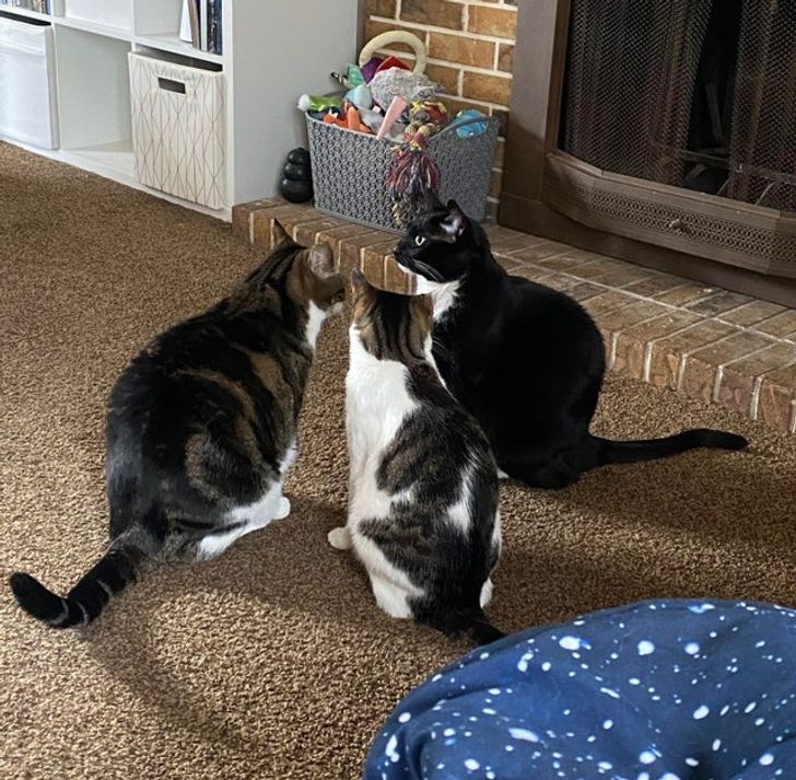 e3acbf5b8c99689e3ddd42b9e7