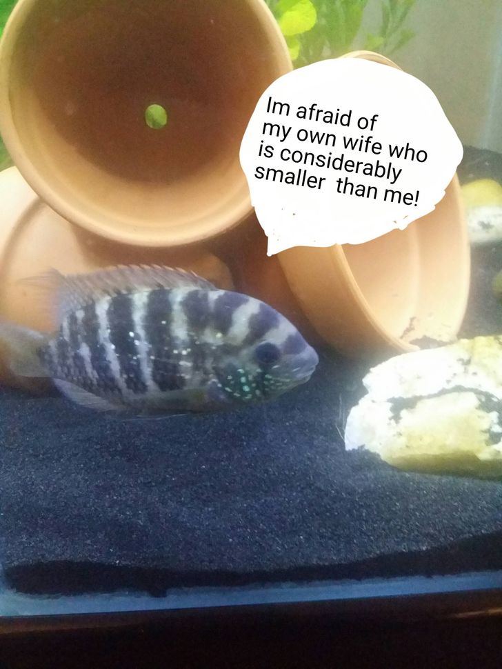 e3af18504b951fd208ebc479a0