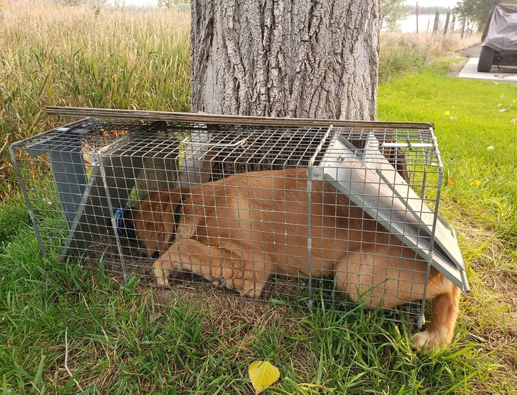 e3b1915439a7e14bc4a05cb986 e3b1915439a7e14bc4a05cb986