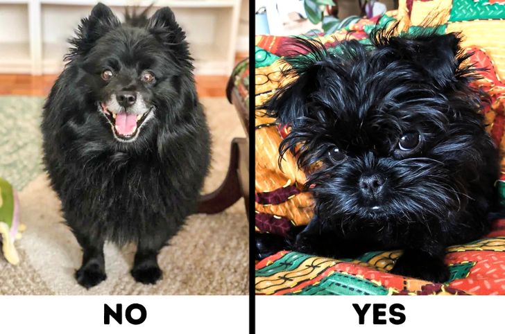 e3b46d5f0d9a18426014c8b880