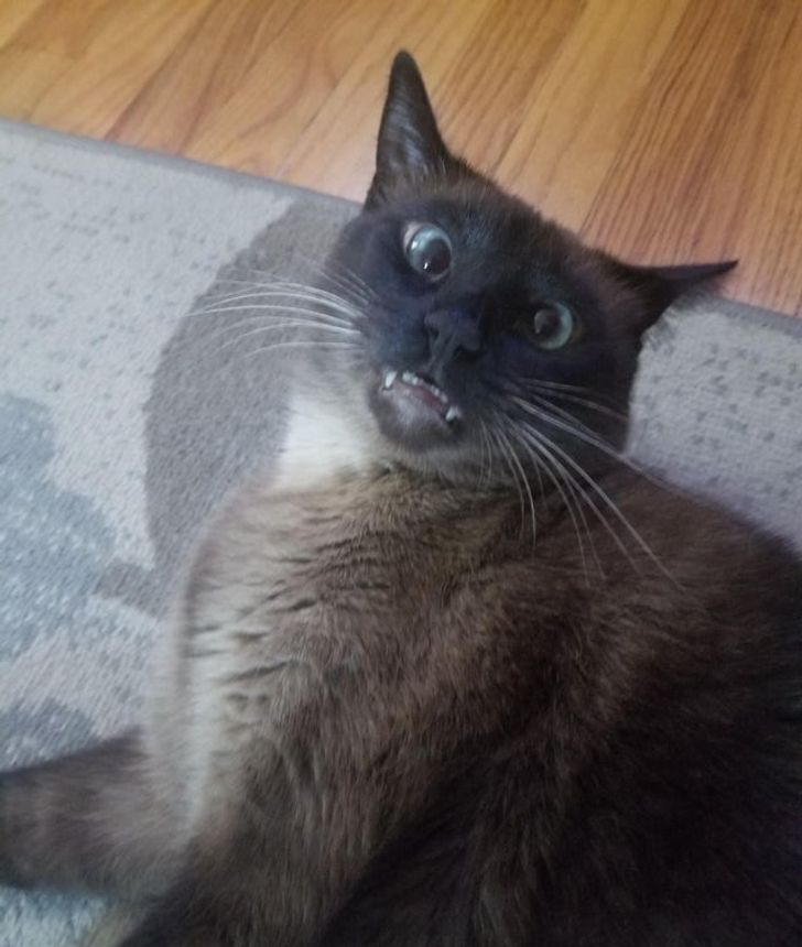 e3bfc054f08eb06d6046cd595d