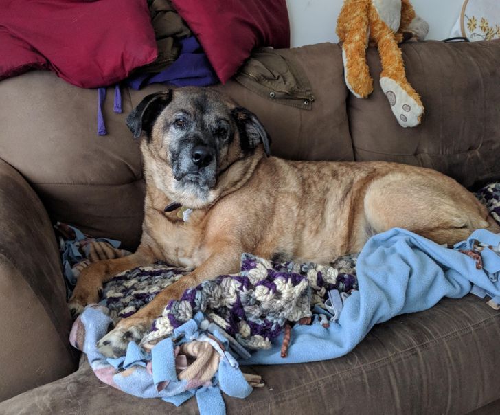 e3c3285ee6a367fcb499beef92