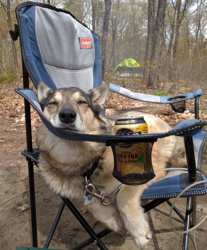 e3c6275f1eab857500a00f03e9