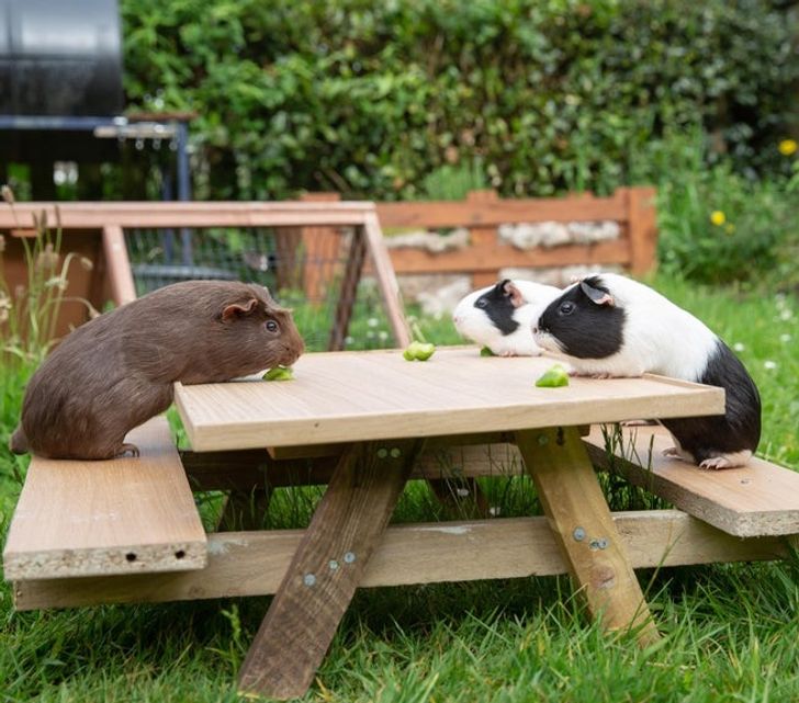 e3c6ce5cf5ac279b6bad095498