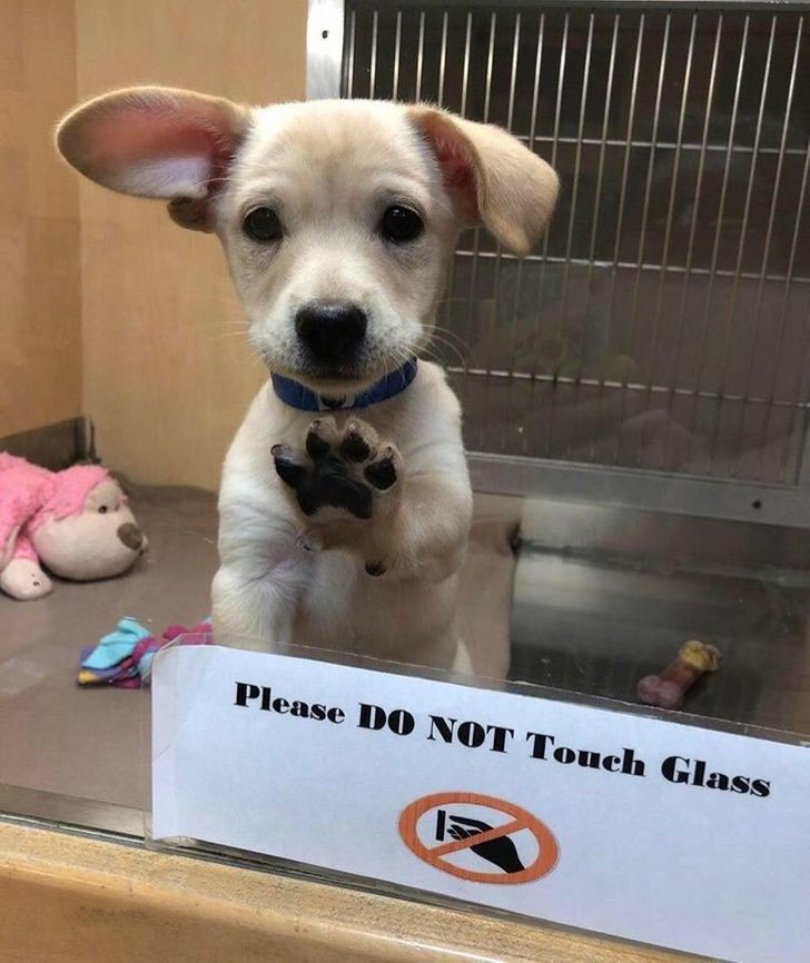 e3c8c95b3697128d83bdbd84d6