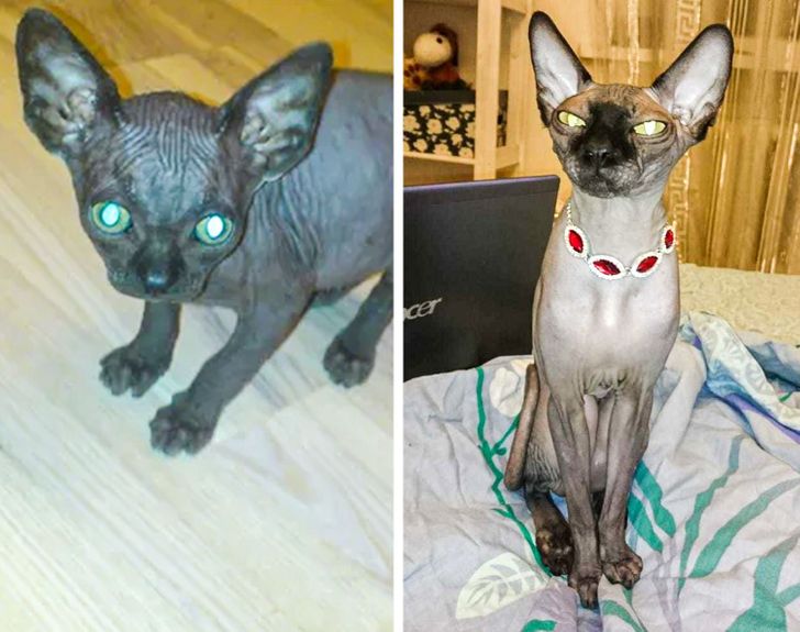 e3c95b54db941d0ffc8763c100