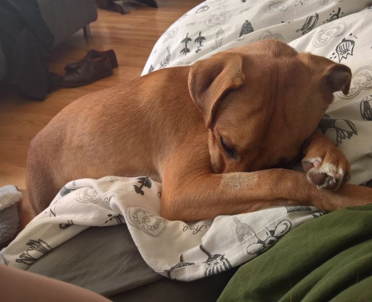 e3d013528a9074c8256042dc03