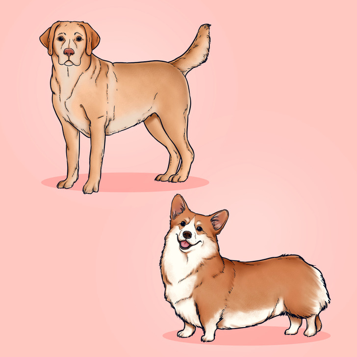 e3d19a551aaa1b99df75b50723 e3d19a551aaa1b99df75b50723