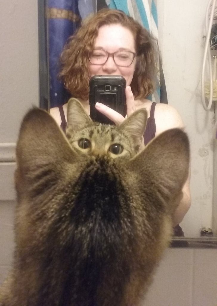 e3d3985f359c7c961261863076