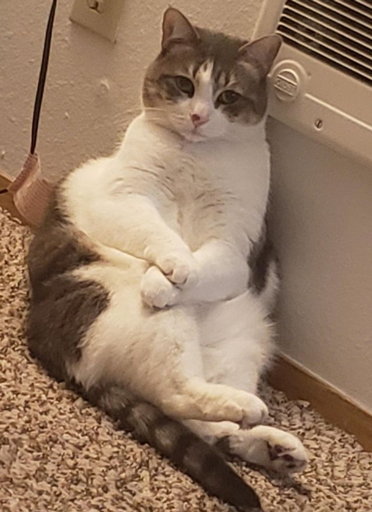 e3d7df5853a75a3e3aef03c26f