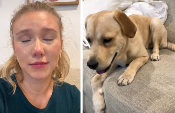 e3de7754098a45f63ed633c087